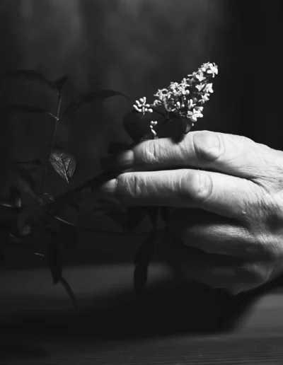 herman de vries, Künstler portriat, Porträt, Fotografie bei quadratmedia